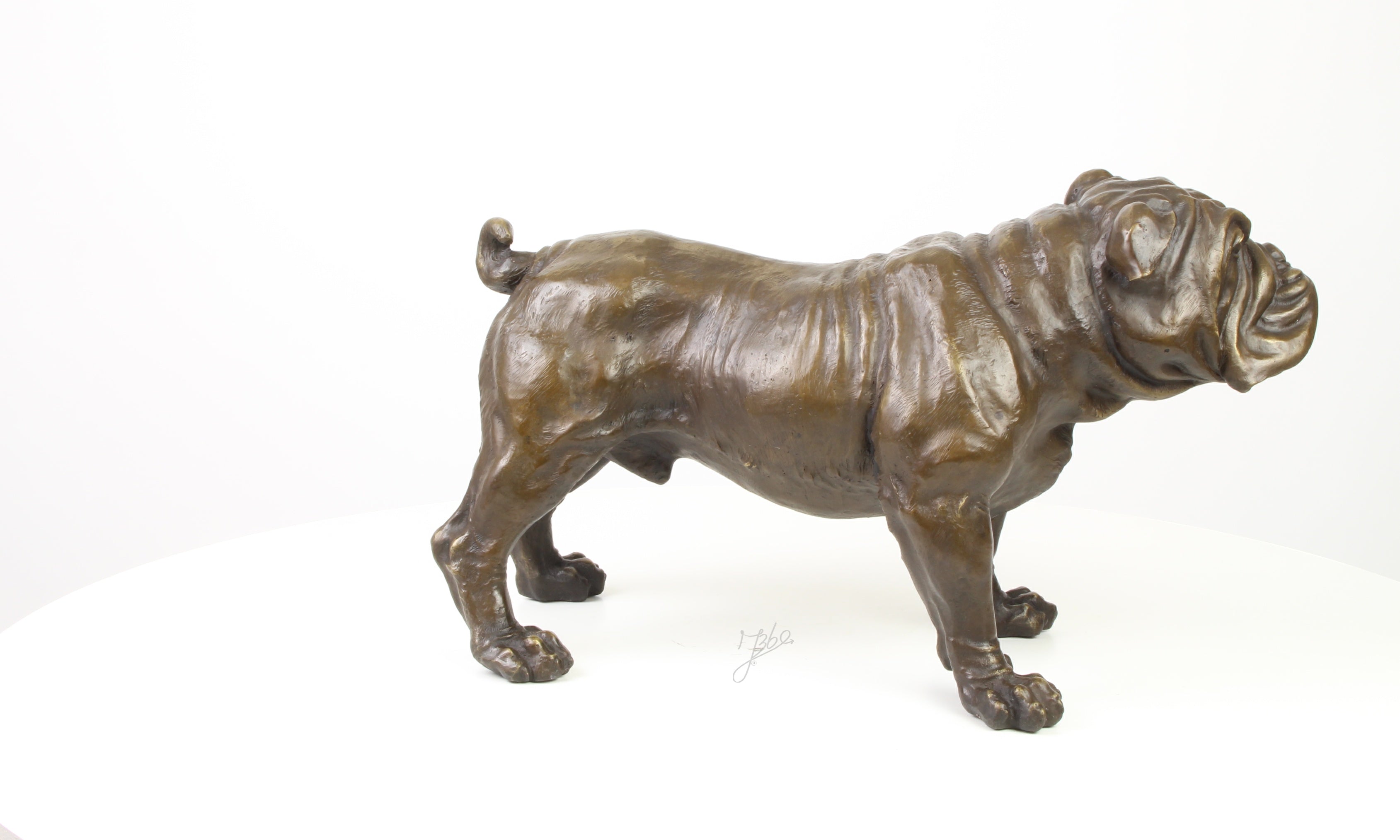 Bronzen Engelse bulldog sculptuur – staand