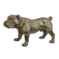 Bronzen sculptuur van een staande Engelse bulldog met warme patina – 54,5 cm – VntiQue