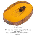 Resin amber cicade fossielen set, amberkleurige kunsthars – 11 cm – VntiQue