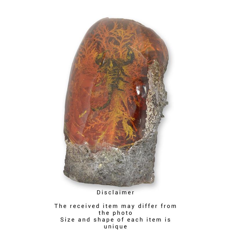 Amber-look resin fossiel met schorpioen op ruwe basis – 20 cm – VntiQue
